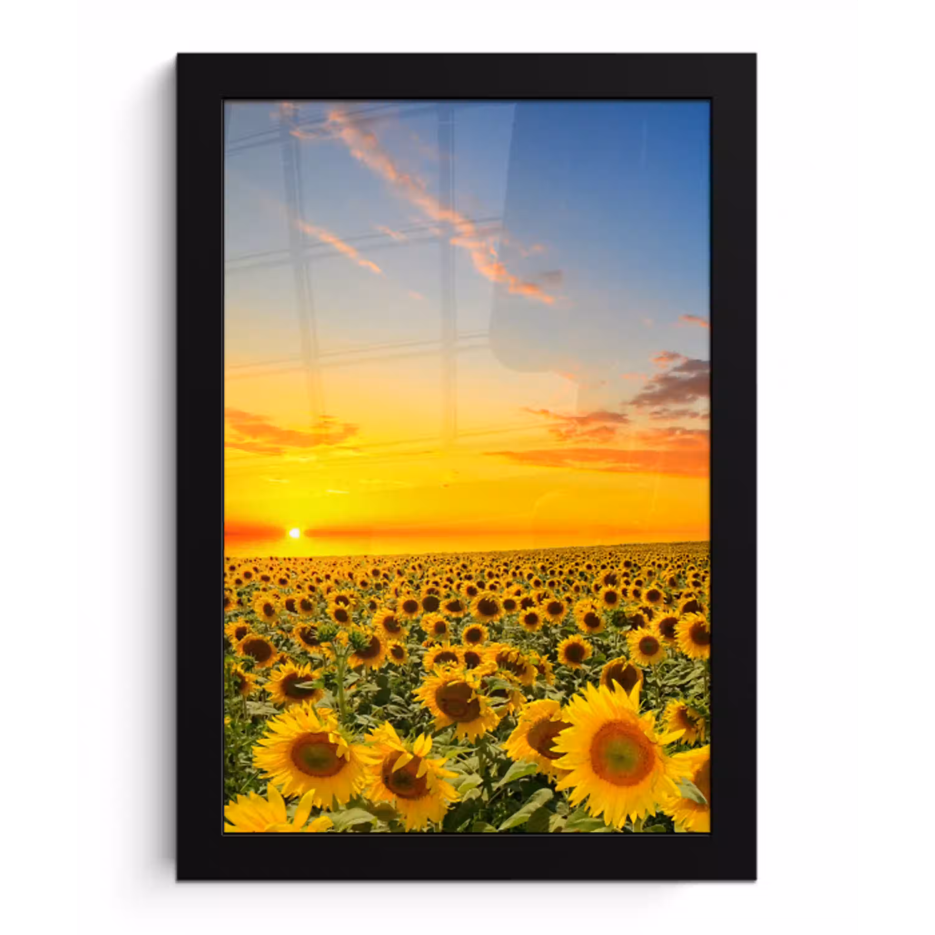 Bloemen - Zonnebloem - Zonsondergang - Nacht - Oranje fotolijst zwart zonder passe partout klein -3d