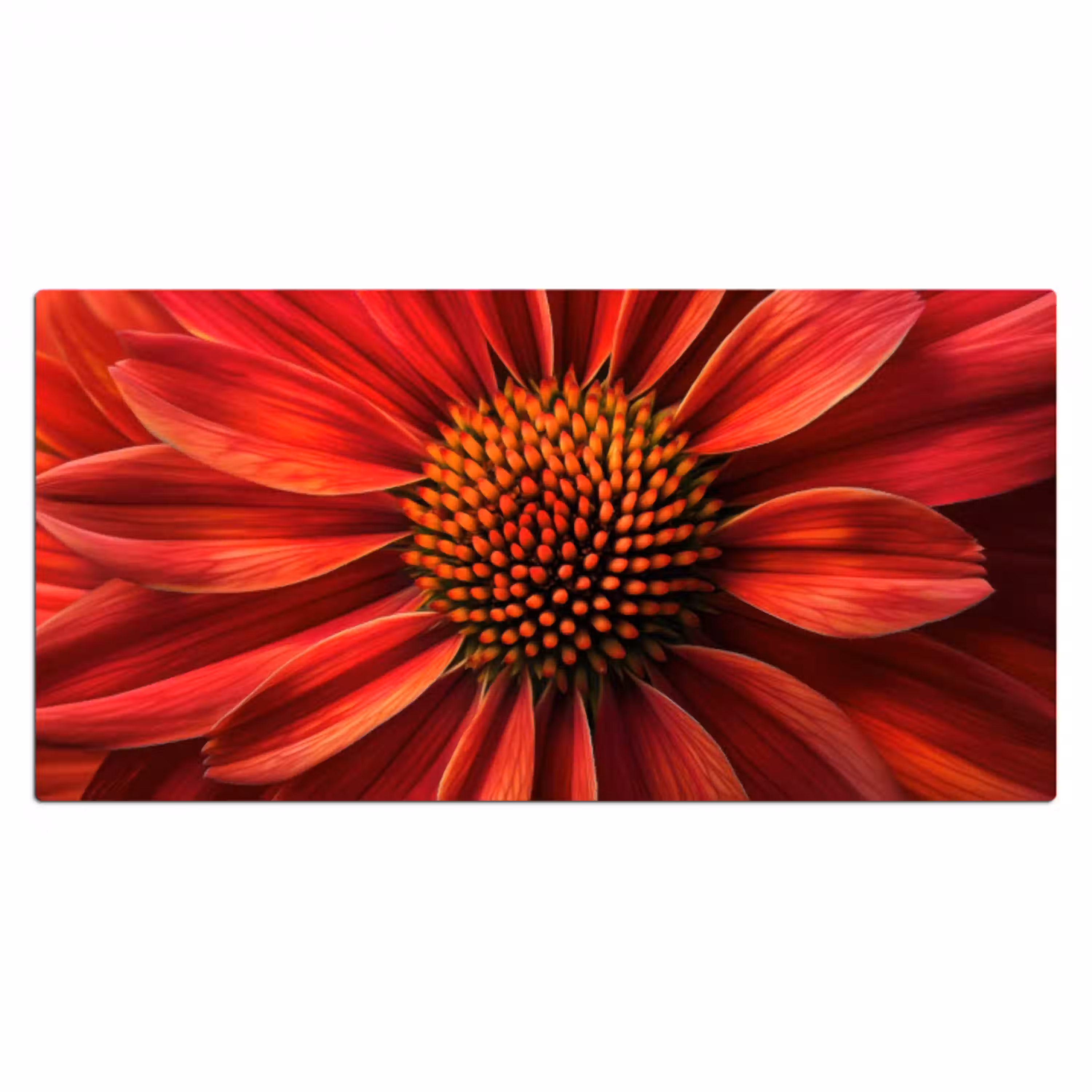 Close up - Bloem- Rood Muismat XXL klein -3d_leeg