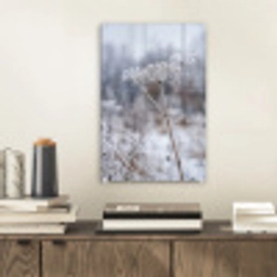 Schermbloem - Rijp - Kristallen - Winter - Delicaat plexiglas 5mm klein -sfeer1