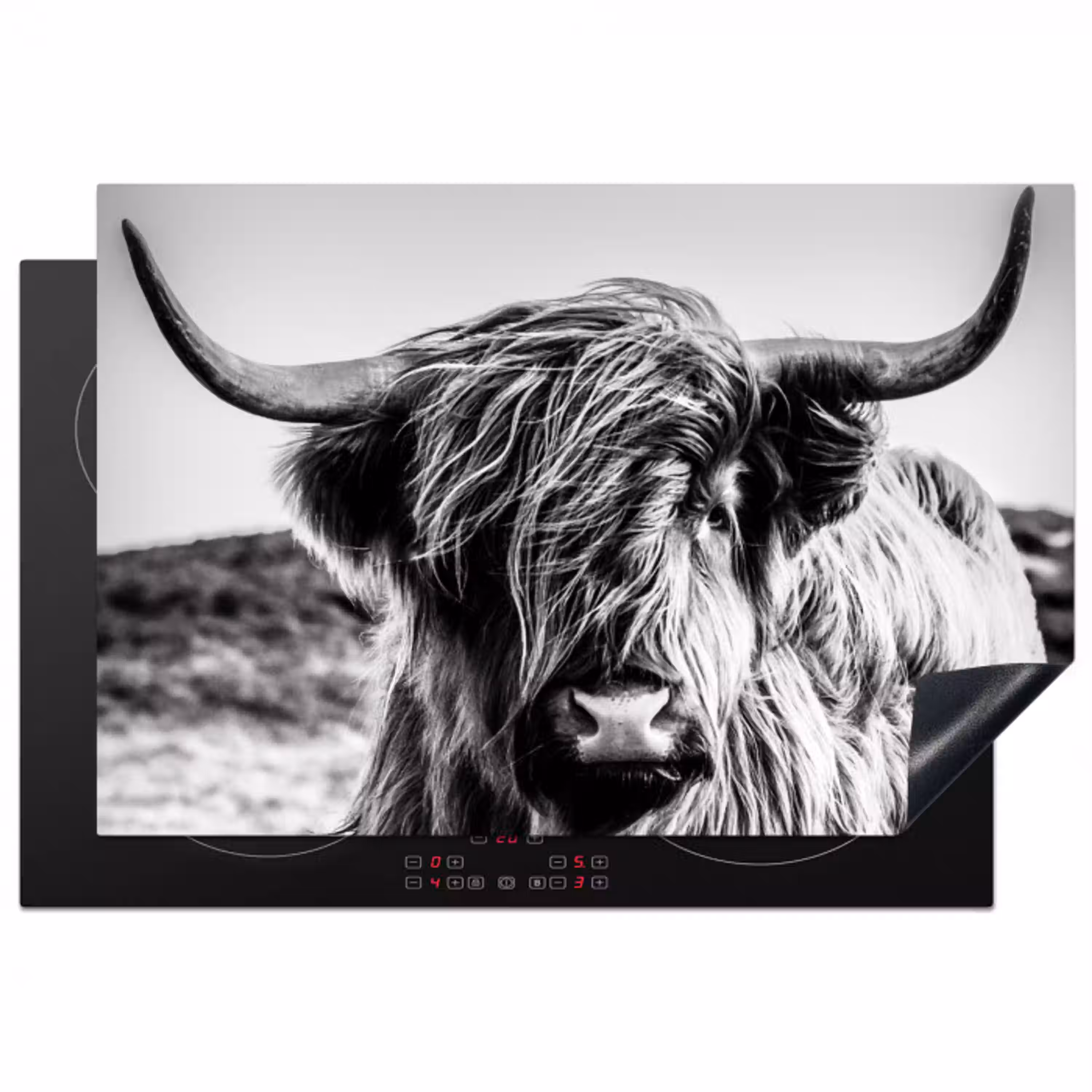 Koe - Schotse hooglander - Zwart - Wit - Dier - Natuur - Wild Inductie beschermer vinyl 3mm klein -3d