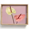 Bloemen - Anthuriums - Geel - Roze Dienblad Rechthoek middel -z3d_shopping