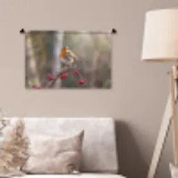 Roodborst - Tak - Bessen - Natuur Wandkleed katoen klein -sfeer4