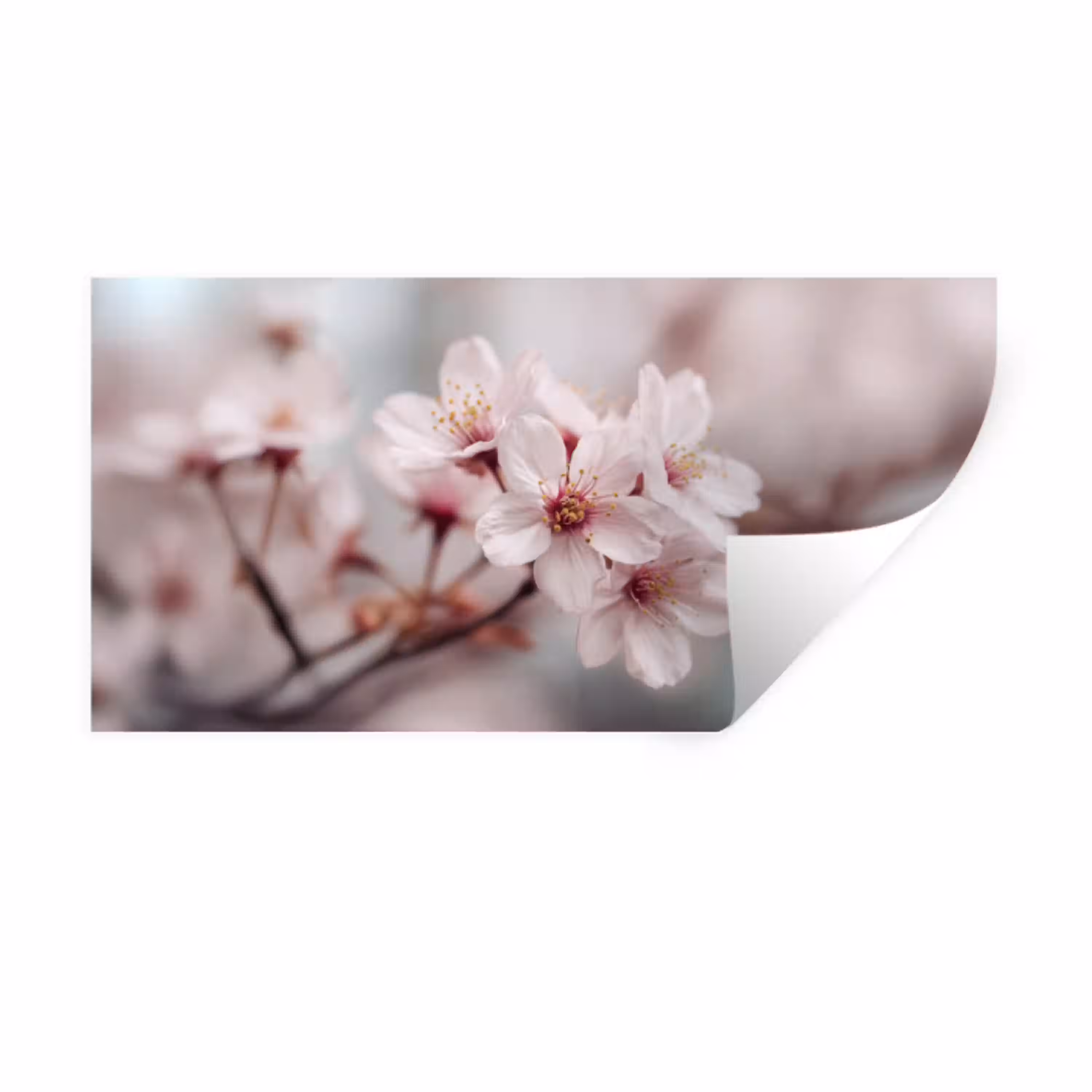 Bloesems - Meeldraden - Geel - Wazig Muursticker klein -3d