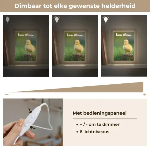 Kuiken - Eend - Geel - Gras Light Box met kabel (Kinderlampje) klein -USP_dimbaarNL