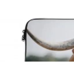 Texas Longhorn - Kalf - Weide - Dieren laptophoes neopreen klein -detail