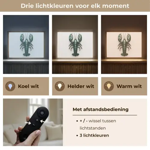 Kreeft - Glossier - Groen - Wit Light Box met batterij (Wandlamp) middel -USP_lichtkleurNL