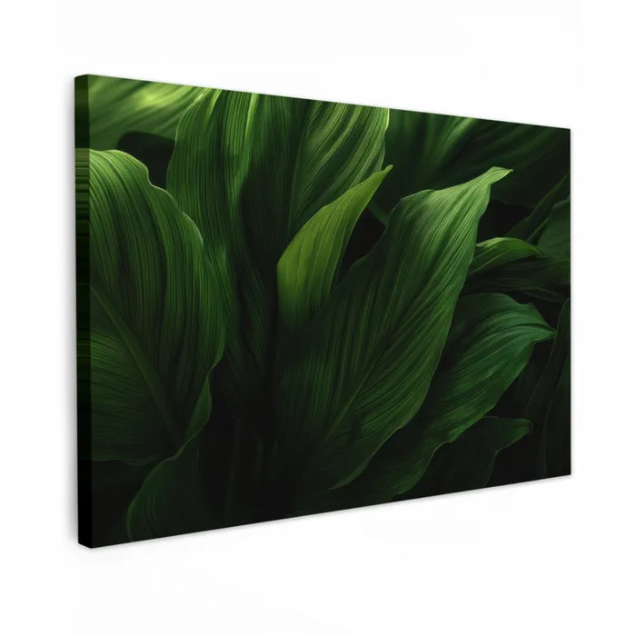 Bladeren - Schaduw - Groen - Textuur canvas 2cm klein -z3d