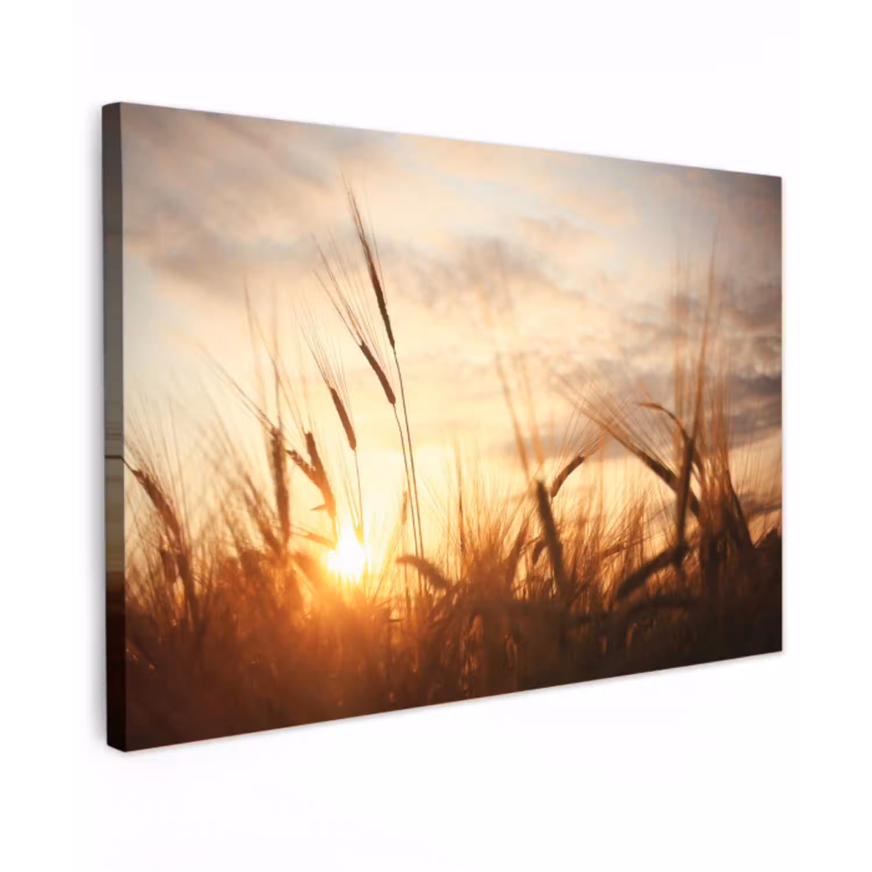 Riet - Gras - Zonsondergang - Natuur - Horizon canvas 2cm klein -z3d