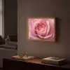 Roze - Roos - Romantisch Light Box met batterij (Wandlamp) middel -sfeer1