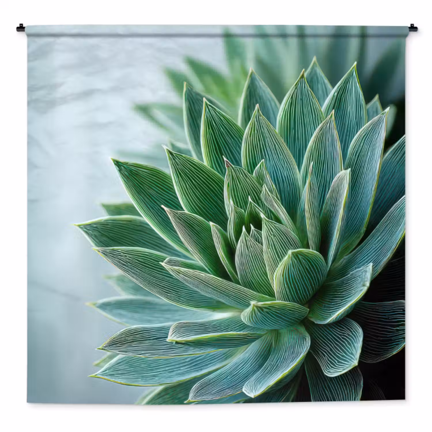 Wandkleed - Vetplant - Bladeren - Groen - Wazig