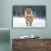 Tijger - Landschap - Sneeuw - Winter - Dieren canvas 2cm klein -sfeer4