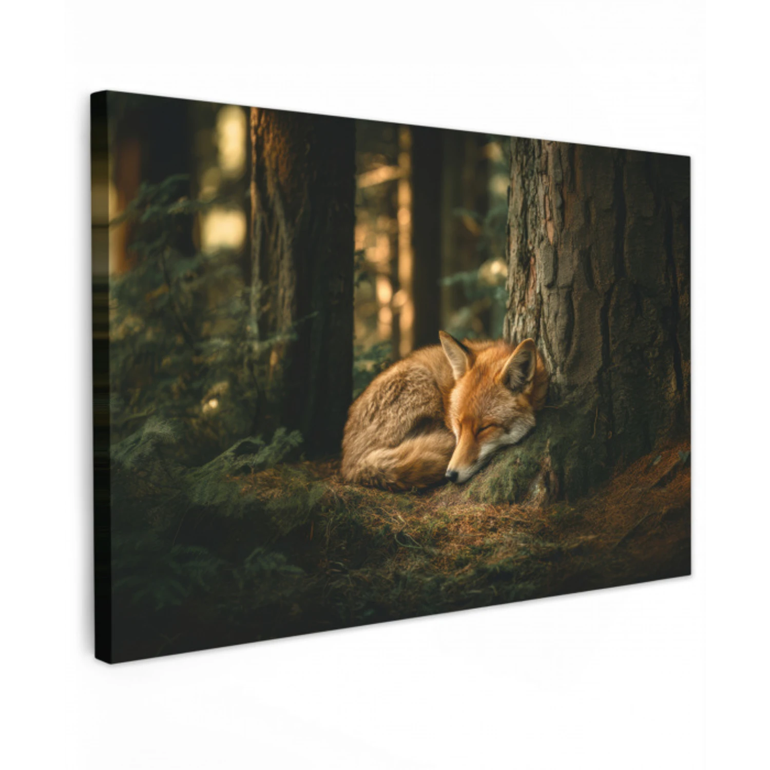 Vos - Bos - Slapen canvas 2cm klein -z3d
