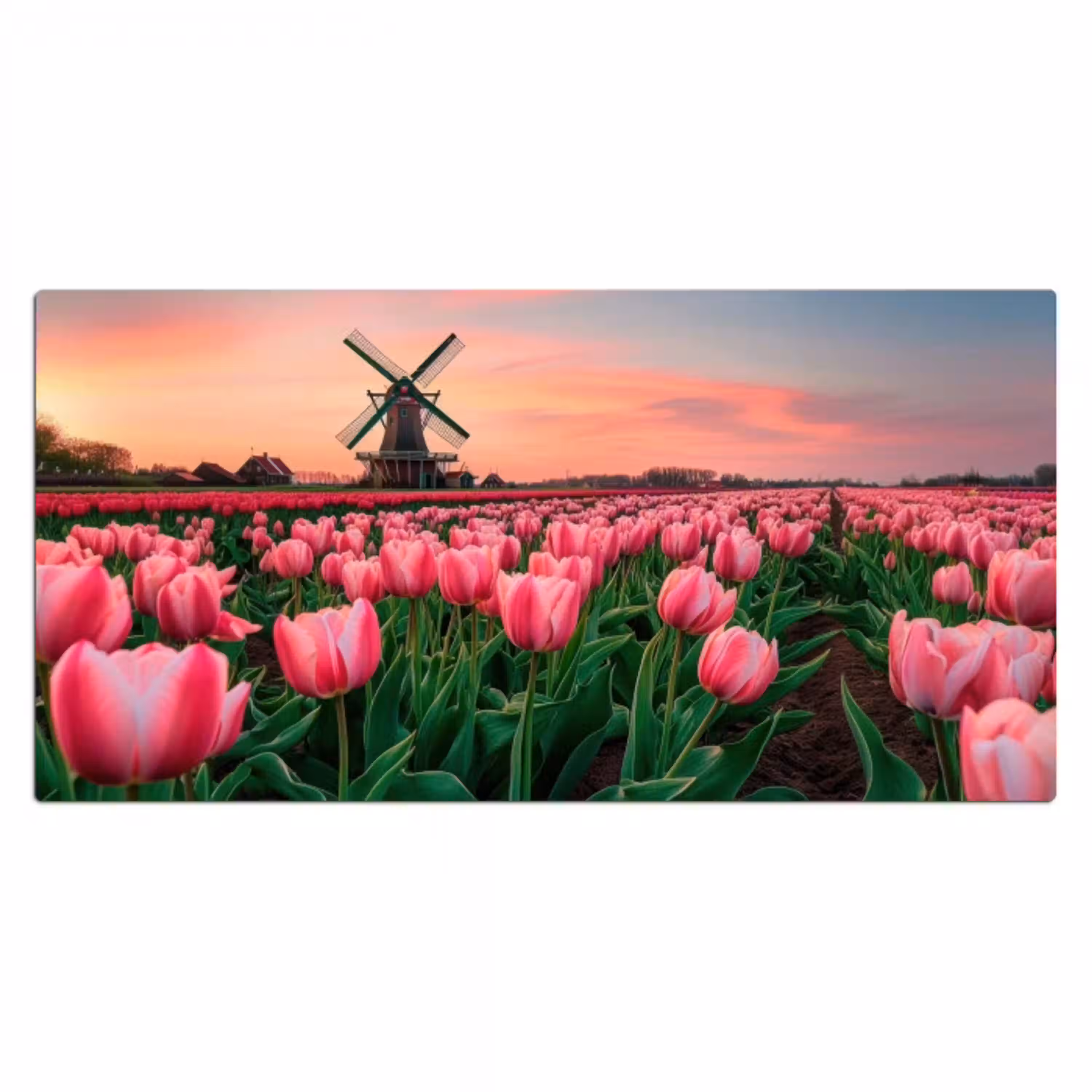 Tulpen - Molen - Nederland Muismat XXL klein -3d_leeg
