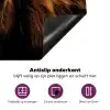 Schotse Hooglander - Horens - Zwart - Dieren - Natuur - Wild - Koe Inductie beschermer vinyl 3mm klein -zzzzzzz-cc-onderkant