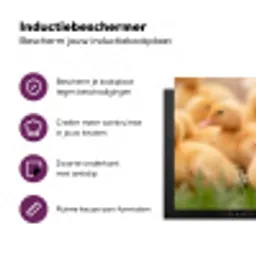 Pijltje - Eend - Natuur - Geel Inductie beschermer vinyl 3mm klein -zzzzzzz-cc-usp