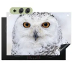 Sneeuwuil - Oog - Wildlife - Wit Inductie beschemer met haakjes klein -3d