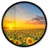 Bloemen - Zonnebloem - Zonsondergang - Nacht - Oranje Fotolijst rond zonder passe partout klein -3d