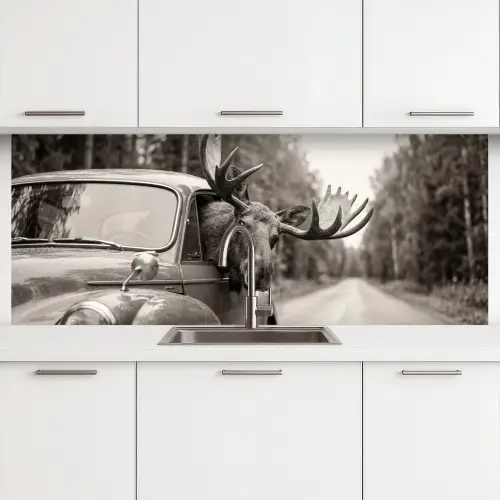 Eland - Auto - Gewei - Zwart - Wit keuken achterwand 2 middel -3d