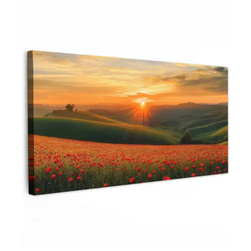 Klaprozen - Bloemen - Heuvels - Zonsondergang Tuinposter op houten frame 2 cm dik xxl -3d