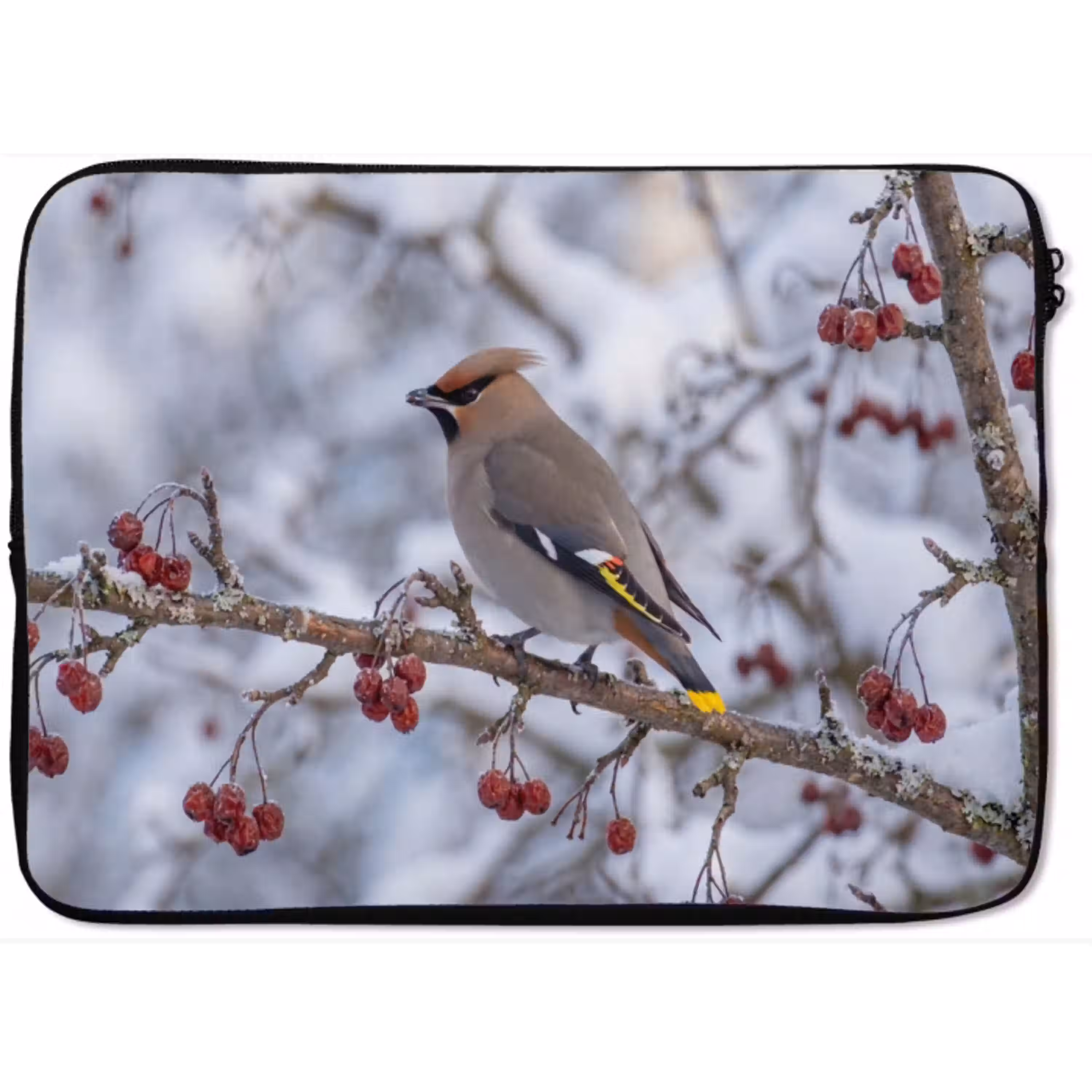 Pestvogel - Bessen - Winter - Natuur laptophoes neopreen klein -zkaufland3dotto