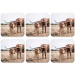 Texas Longhorn - Kalf - Weide - Dieren onderzetter kurk middel -zkaufland3dotto