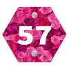Roze rozen - Traditioneel Naambord Hexagon klein -3d
