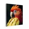 Close-up - Papegaai - Veren - Oranje aluminium wit klein -3d