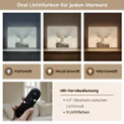 Pluis - Vrouw - Beige Light Box met batterij (Wandlamp) middel -USP_lichtkleurDE