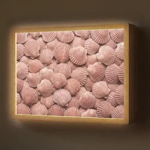 Schelpen - Patroon - Roze Light Box met batterij (Wandlamp) middel -z3d_website