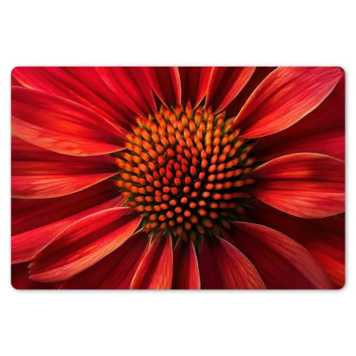 Close up - Bloem- Rood Placemat vinyl groot -zzsfeer1_Kitchenyeah-website