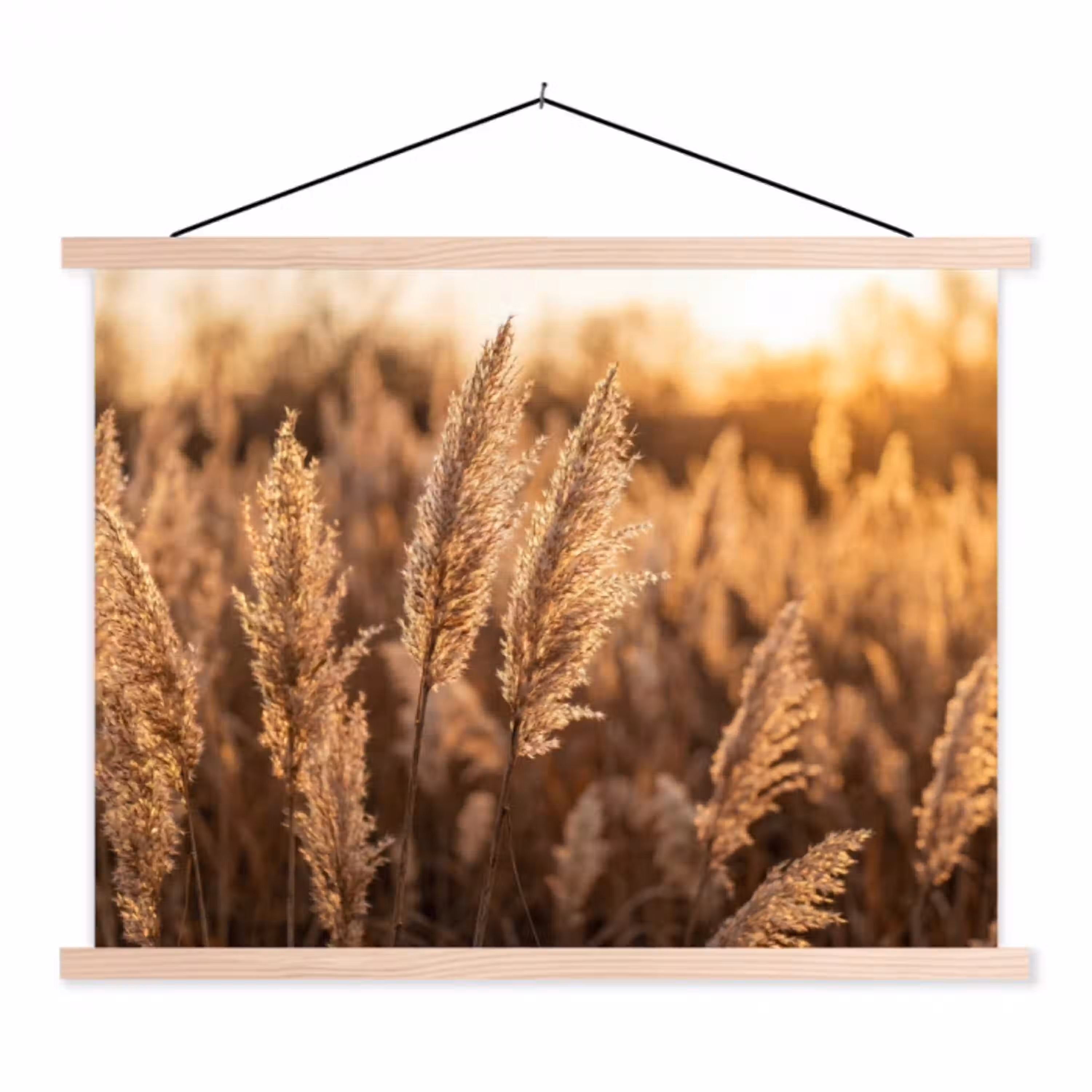 Rietpluimen - Gras - Zonsondergang - Goud - Serene textielposter latten blank klein -3d