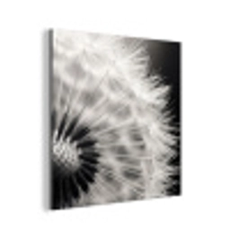 Paardenbloem - Zwart - Wit aluminium wit klein -3d