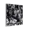 Springen - Paard - Zwart - Wit aluminium wit klein -3d