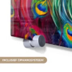 Pauw - Kunst - Schilderij - Pauwenveren plexiglas 5mm klein -zzsysteem_NL