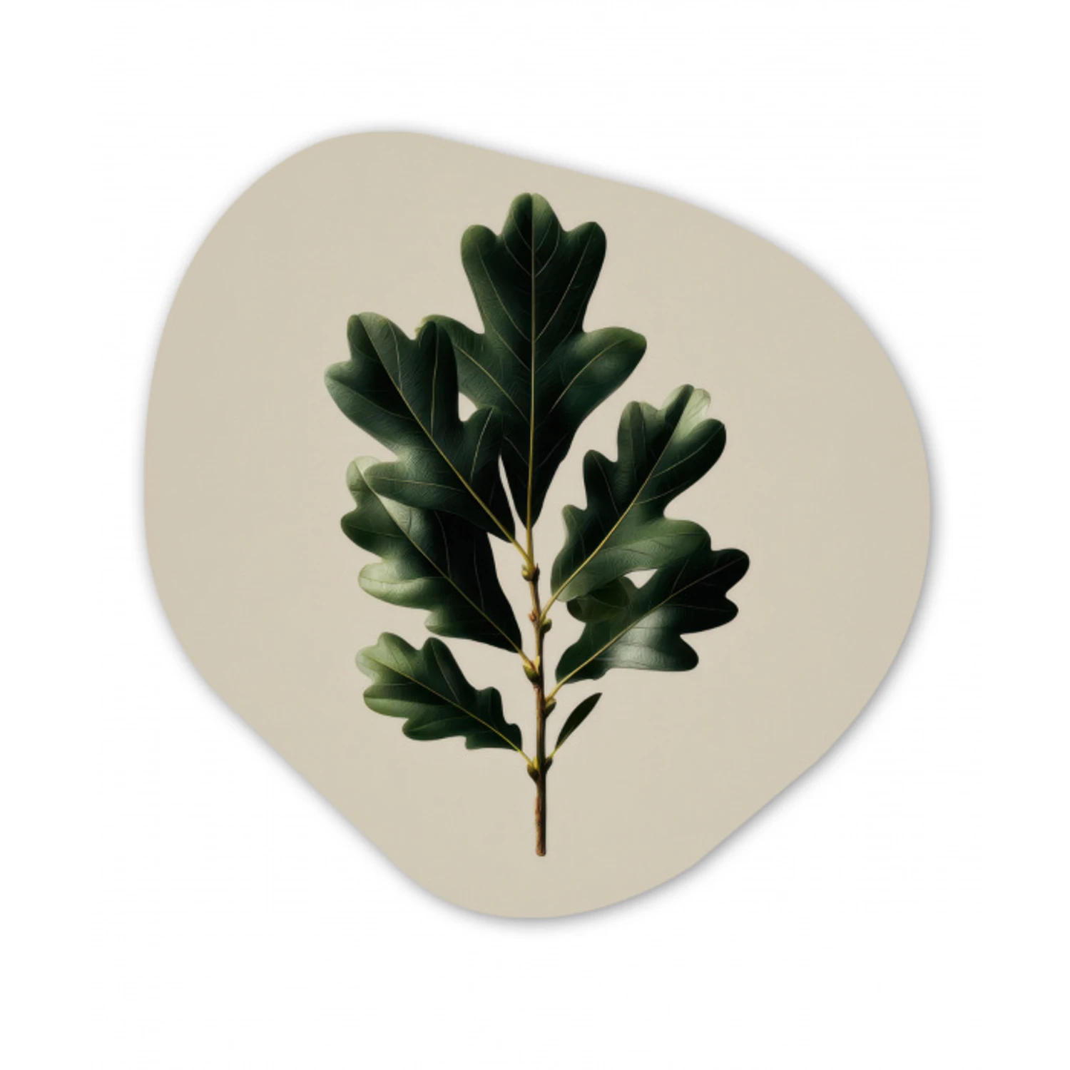 Eikenbladeren - Beige - Groen - Golvende randen Wandcirkel Organisch Forex 3mm klein -3d