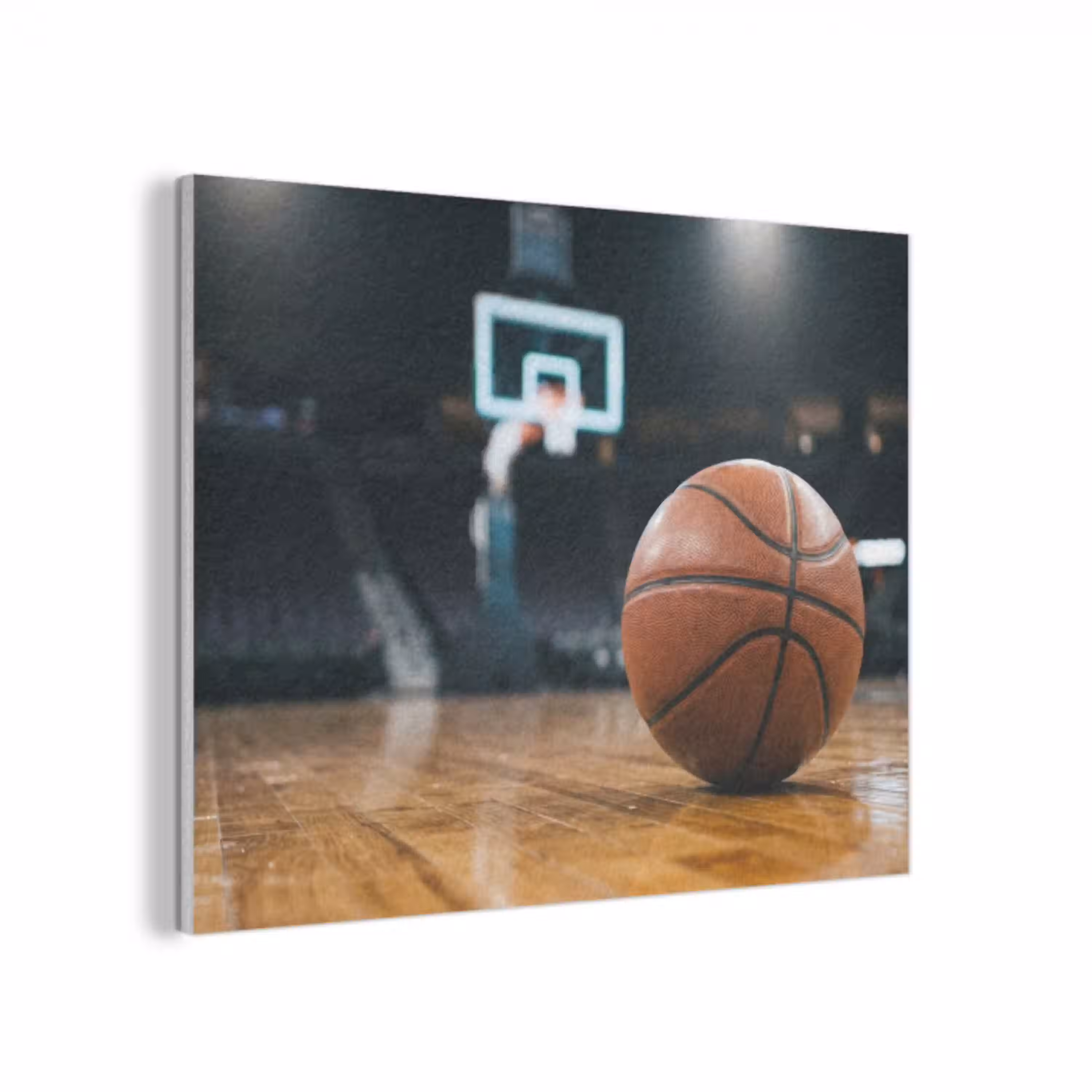 Basketbal - Arena - Sport PET vilt klein -3d