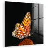 Vlinder - Bloemen - Insect - Portret - Zwart - Oranje plexiglas 5mm klein -zzzproduct_nieuw