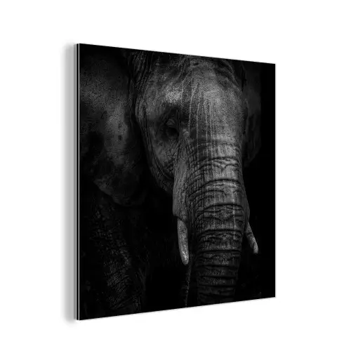 Olifant - Dier - Portret aluminium wit klein -3d
