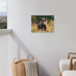 Beer - Bloemenveld - Gras tuinposter los doek klein -sfeer8