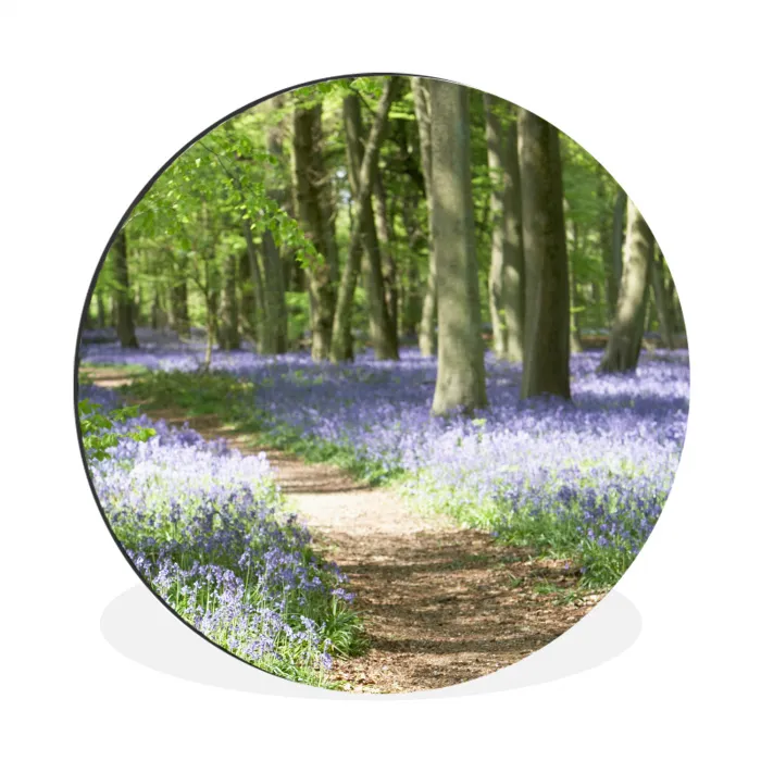 Bos - Pad - Bloemen - Paars - Groen - Natuur Wandcirkel aluminium klein -3d