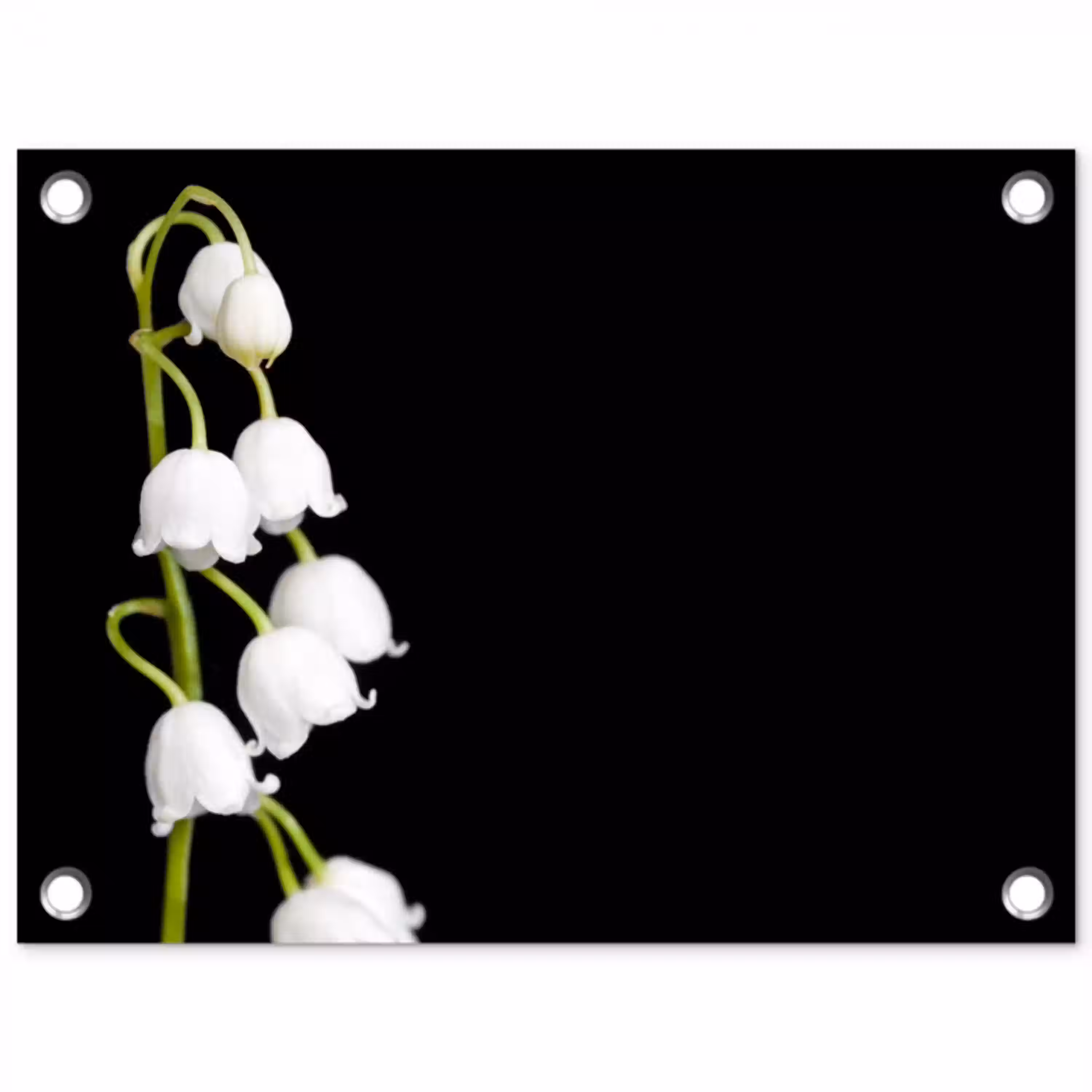Lelietjes van dalen - Bloemen - Zwart - Flora tuinposter los doek klein -3d