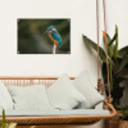 Vogel - IJsvogel - Tak tuinposter los doek klein -sfeer7