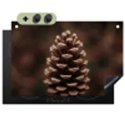 Dennenappel - Bos - Herfst - Bruin - Sfeervol Inductie beschemer met haakjes klein -3d