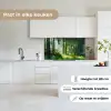 Natuur - Bomen - Bos - Groen - Zon - Gras - Planten keuken achterwand 2 middel -sfeer4_NL