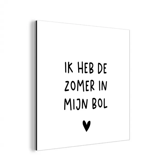 Ik heb de zomer in mijn bol - André Hazes - Spreuken - Quotes aluminium wit klein -3d