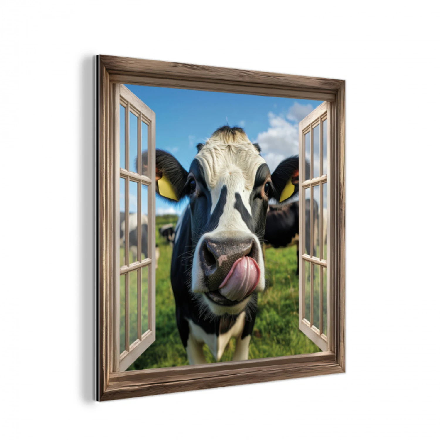 Doorkijk - Koe - Weiland - Dieren - Natuur aluminium wit klein -3d