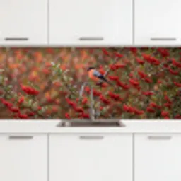Goudvink - Bessen - Herfst - Natuur - Kleurrijk keuken achterwand 2 middel -3d