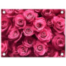 Rozen - Pink - Bloem tuinposter los doek klein -3d