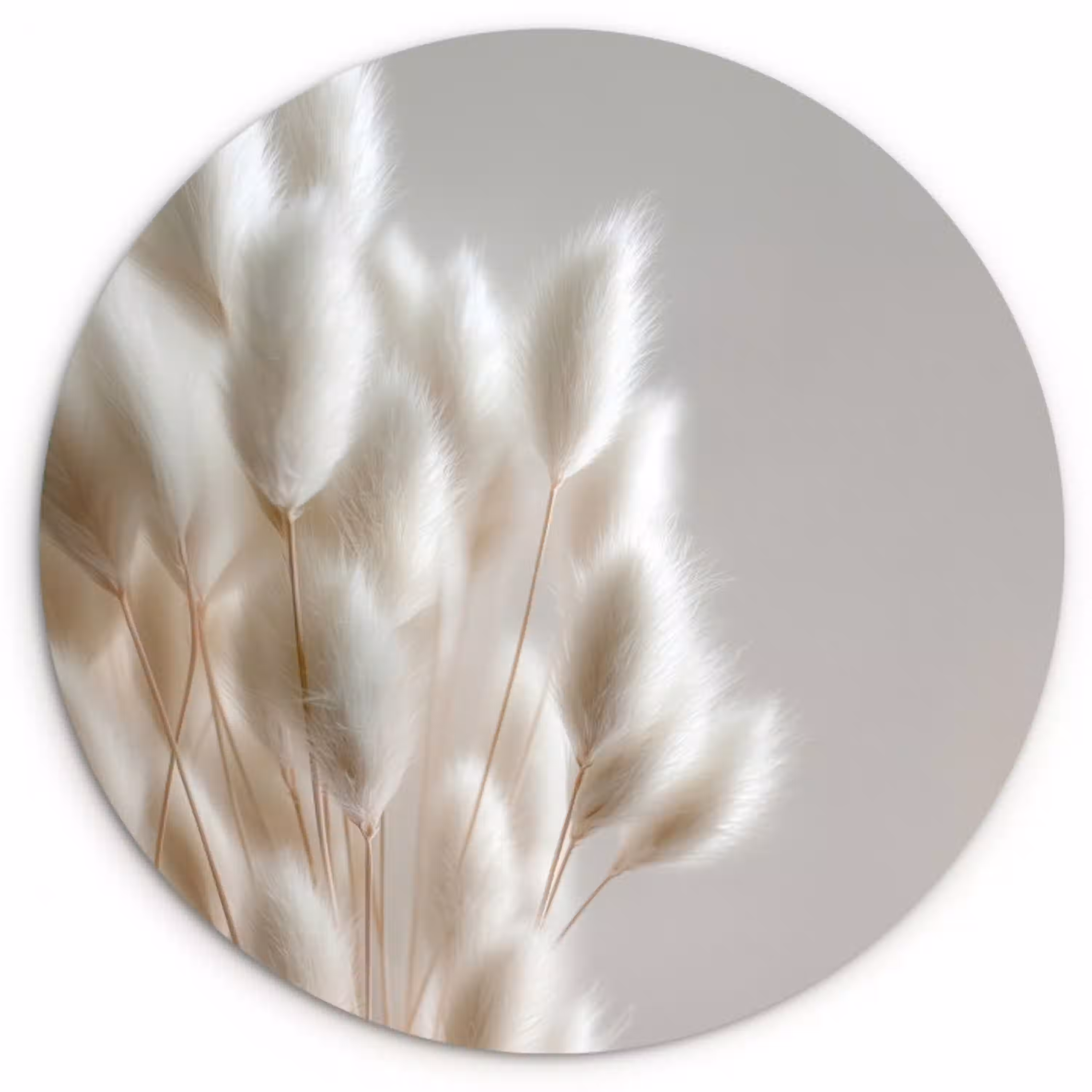 Pluimen - Beige - Minimalistisch Wandcirkel plexiglas klein -3d