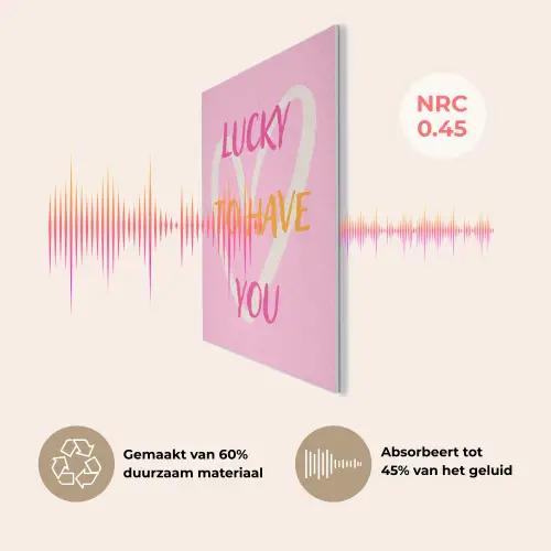 Lucky - Love - Valentijn - Roze PET vilt klein -USP_NL